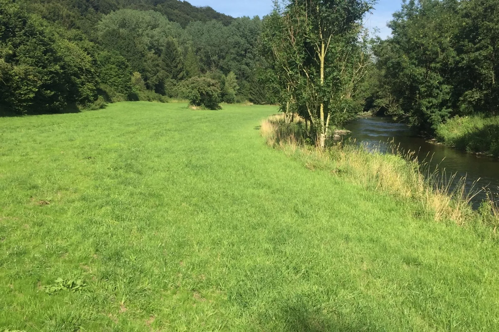 Reeenheuvel-Areas summer 1km