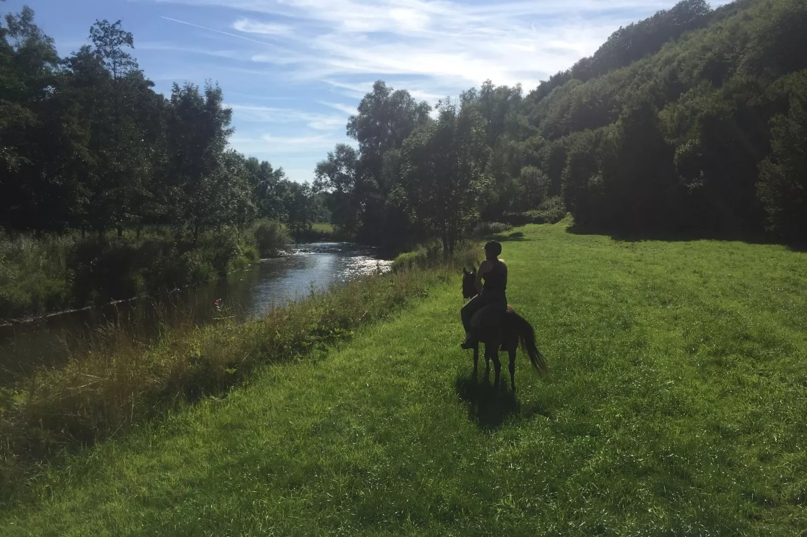 Reeenheuvel-Areas summer 1km