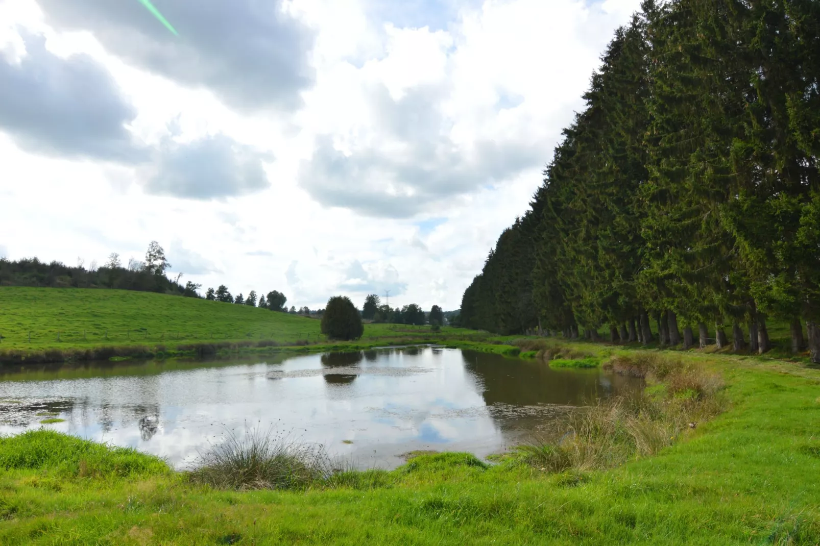 Neufmoulin-Areas summer 1km