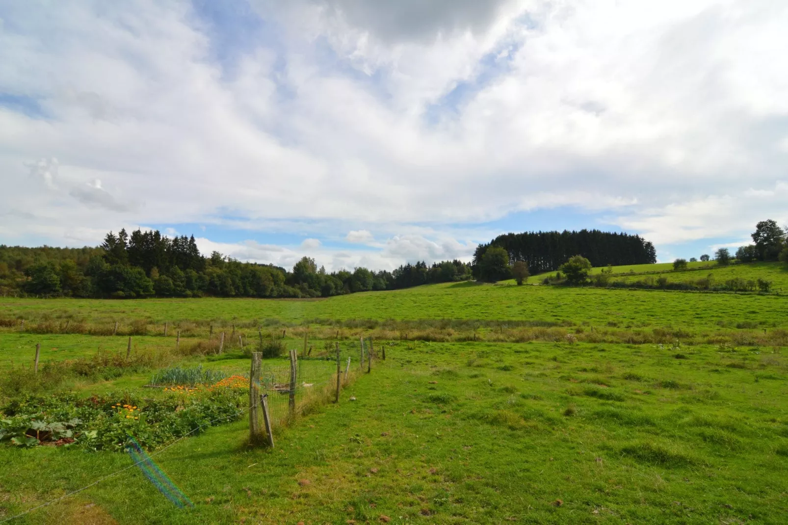 Neufmoulin-Areas summer 1km