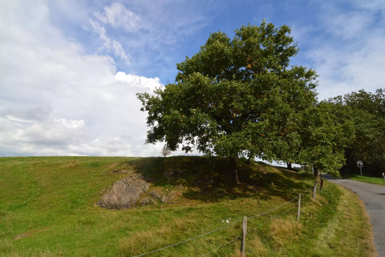 Neufmoulin-Areas summer 20km