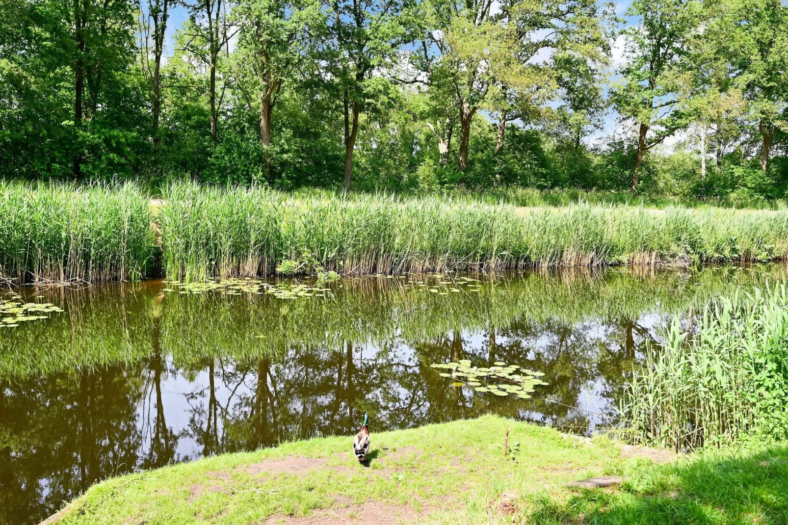 Uitzicht-Gebiete Sommer 1 km