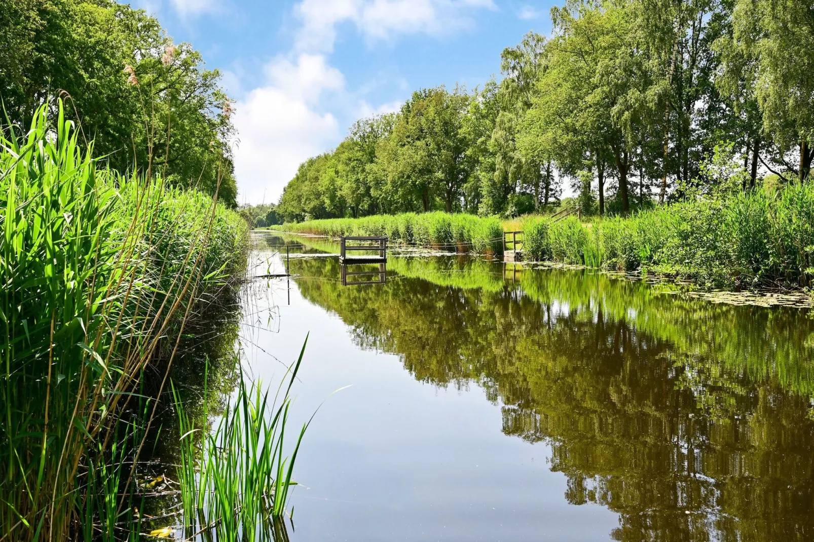 Uitzicht-Gebiete Sommer 5 km
