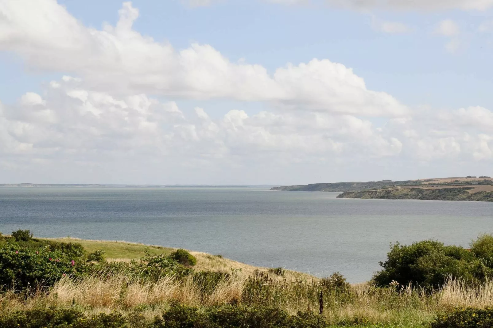 SUSSI-Water view
