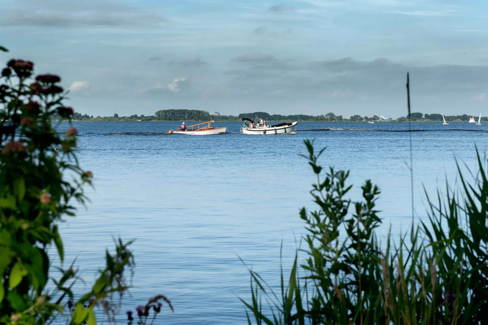 Houseboat Elysium met dakterras-Areas summer 1km