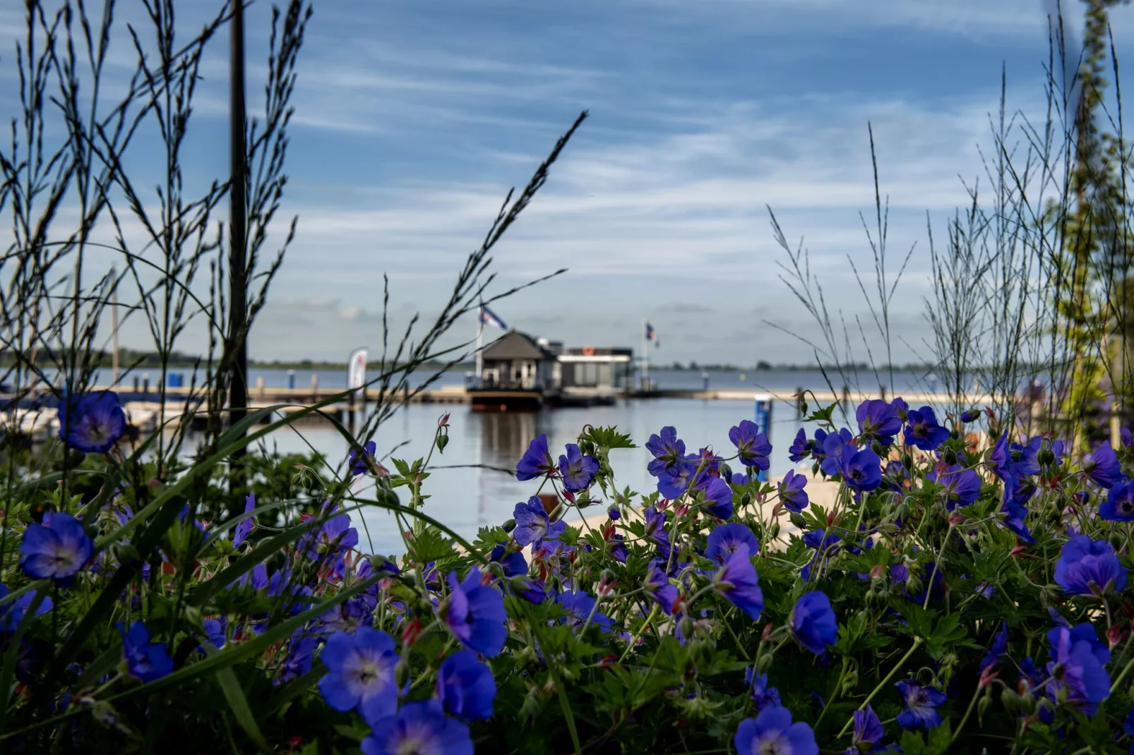 Houseboat Elysium met dakterras-Atmosphere