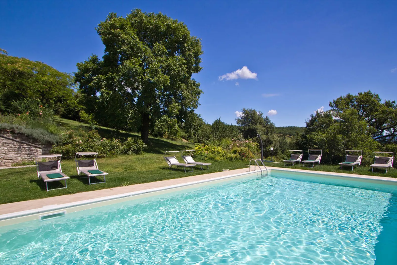 Del Frontino La Biagina-Pool