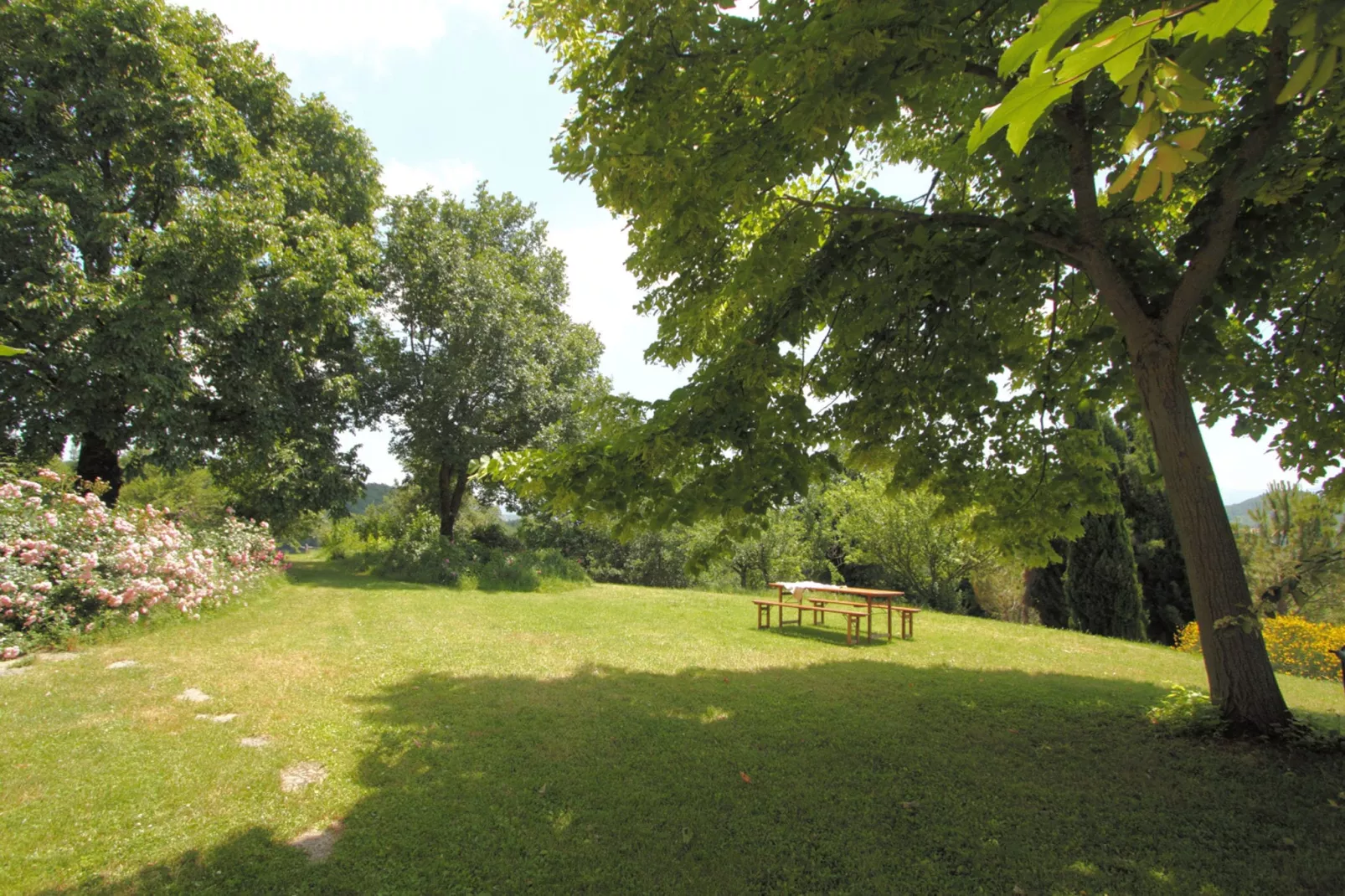 Del Frontino La Biagina-Gardens summer