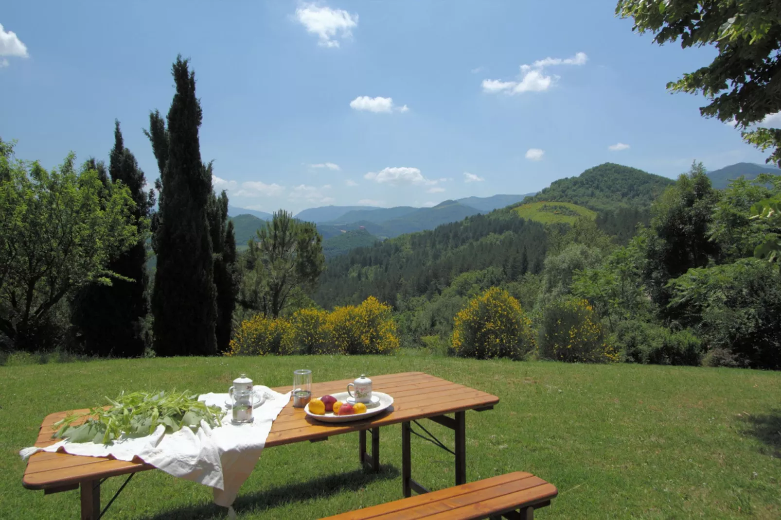 Del Frontino La Biagina-View summer