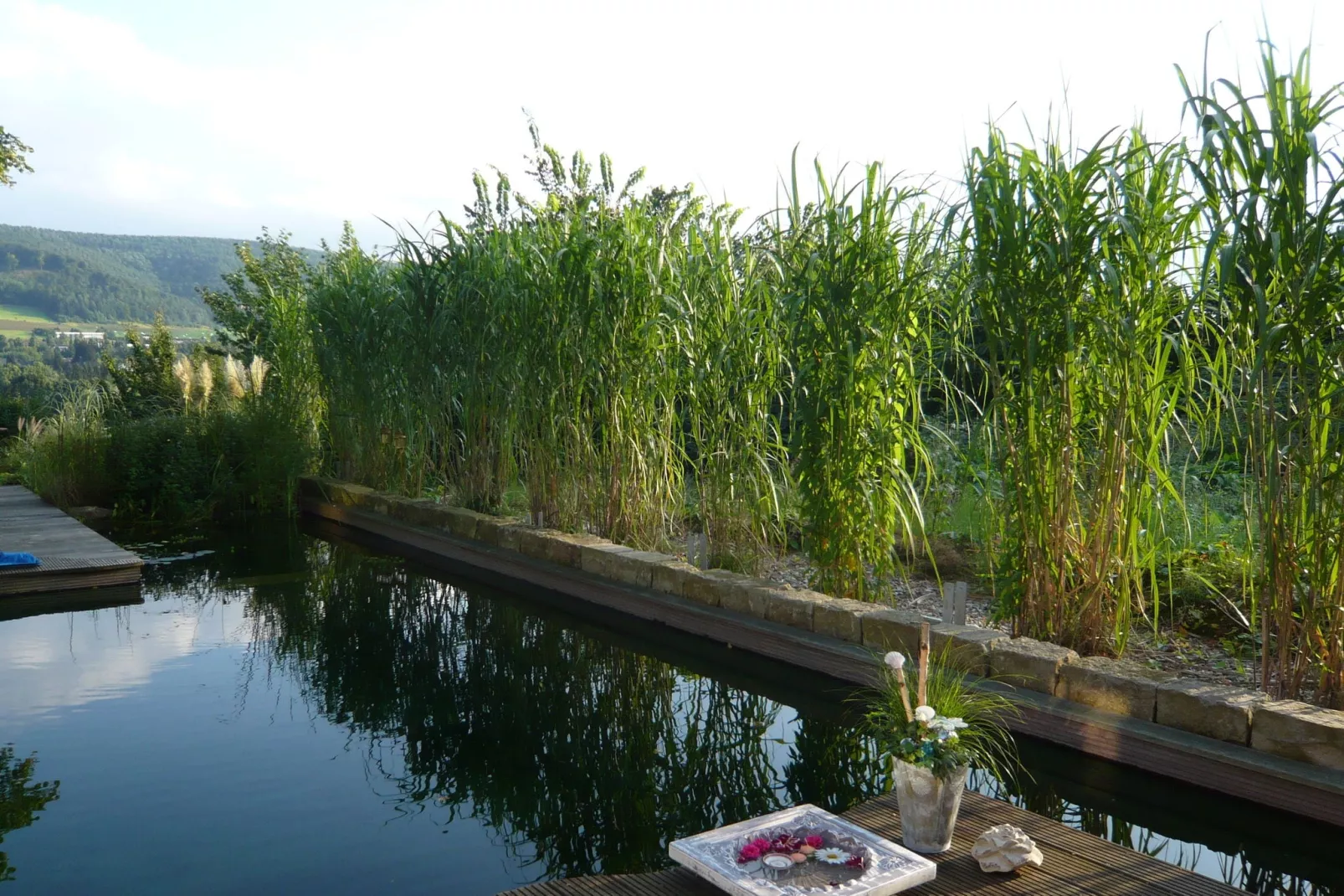 Weserbergland - Bad Pyrmont-Garten Sommer