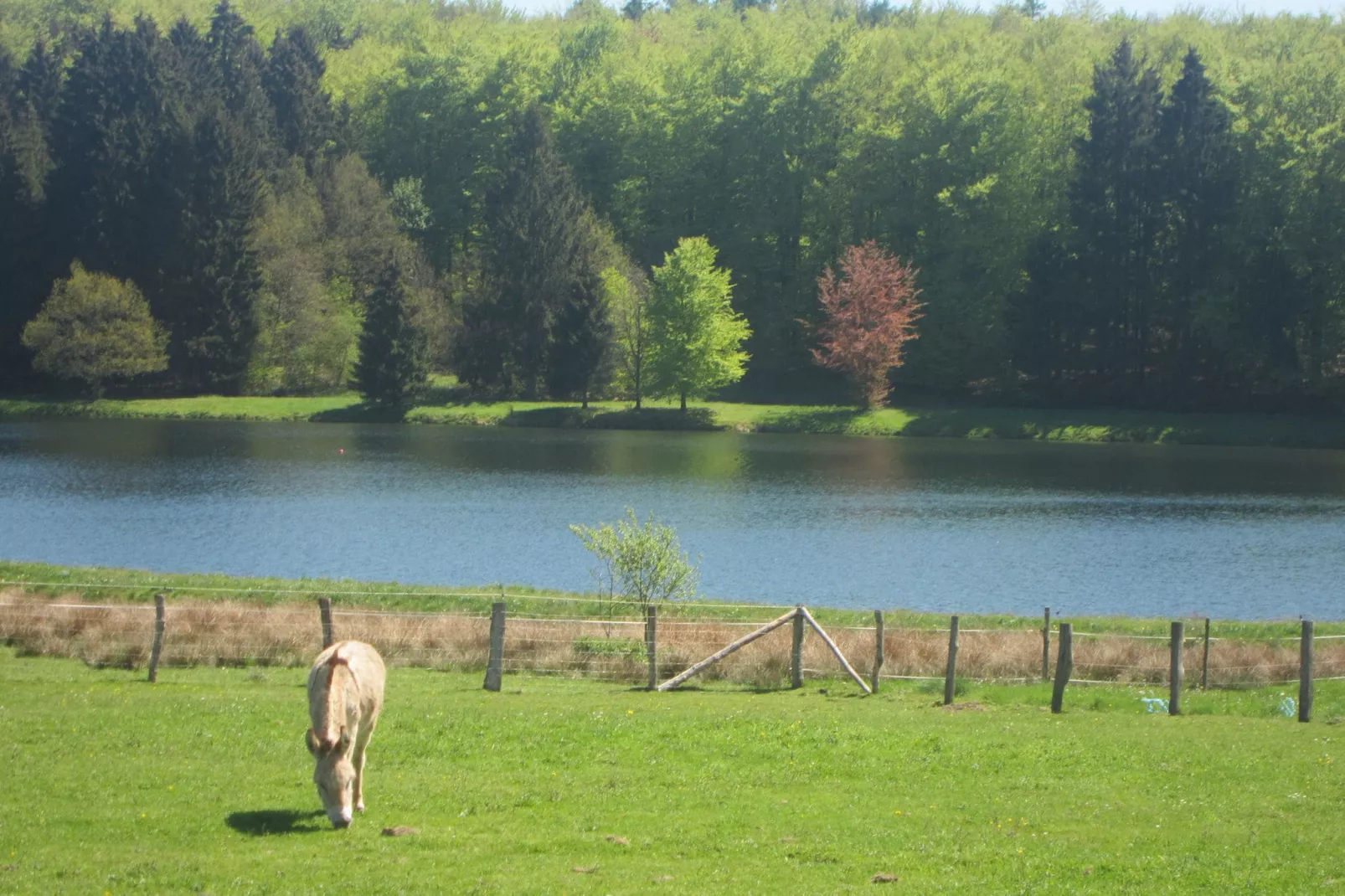 Bourcy-Areas summer 20km