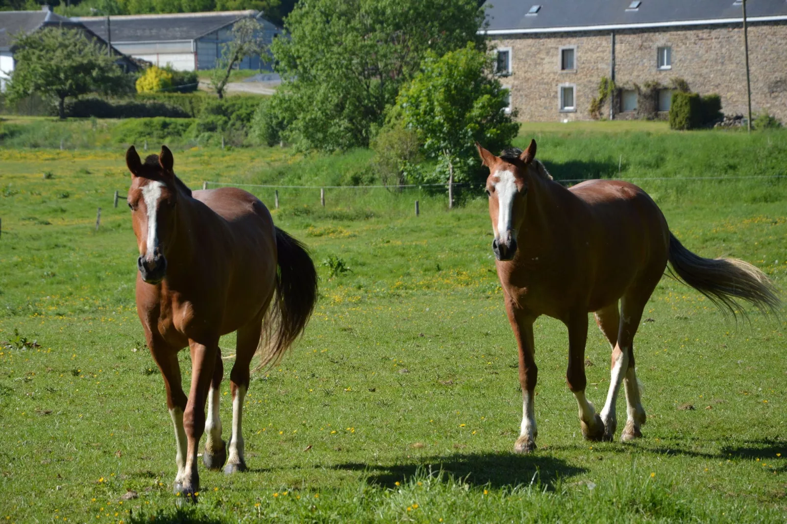 Bourcy-Areas summer 20km