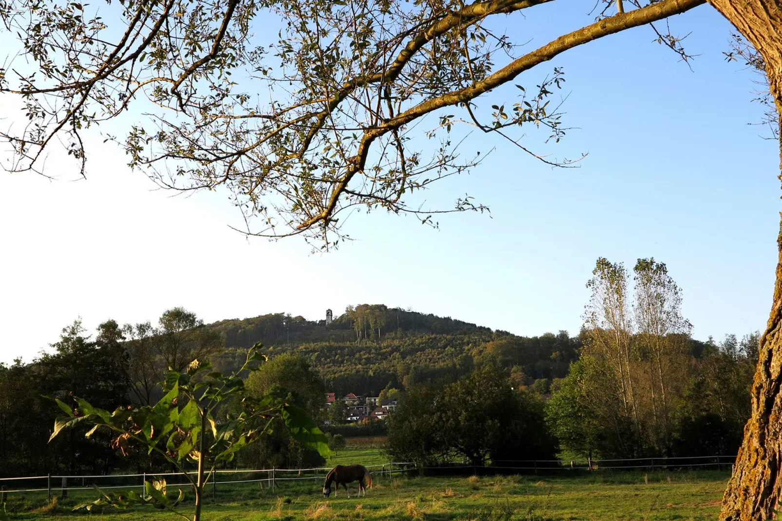 Weserbergland - Bad Pyrmont-Gebiete Sommer 20 km