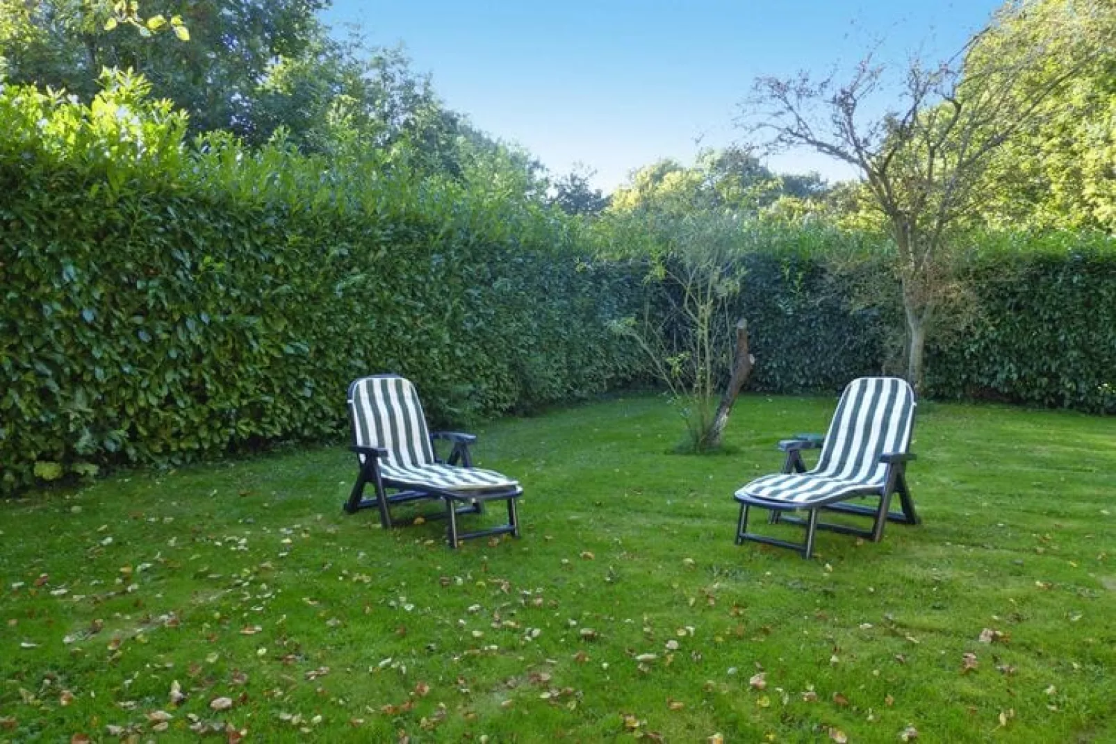 Holiday flat Manneville-ès-Plains-Jardin d'été