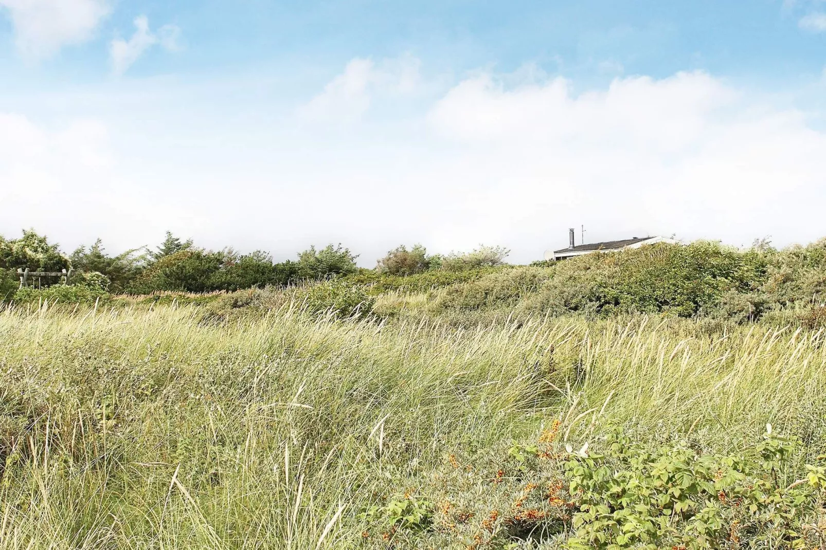 Maison de vacances pour 6 a Hjørring-By Traum