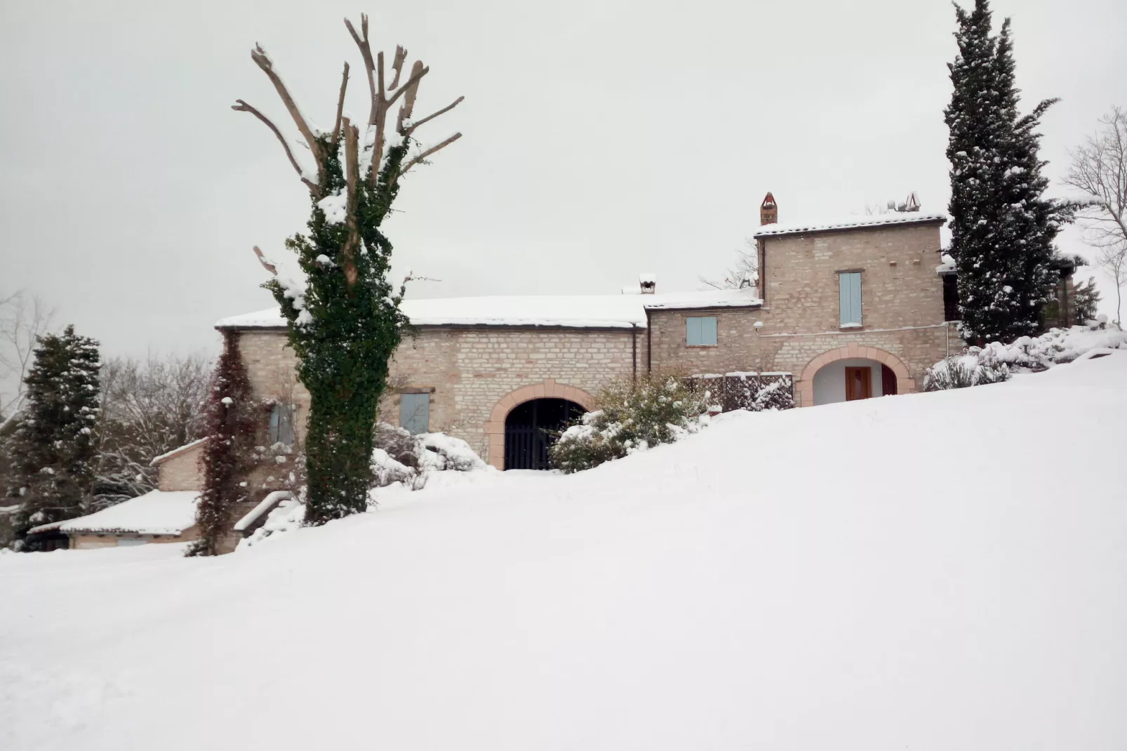 Del Frontino Cà Tofano-Garden winter