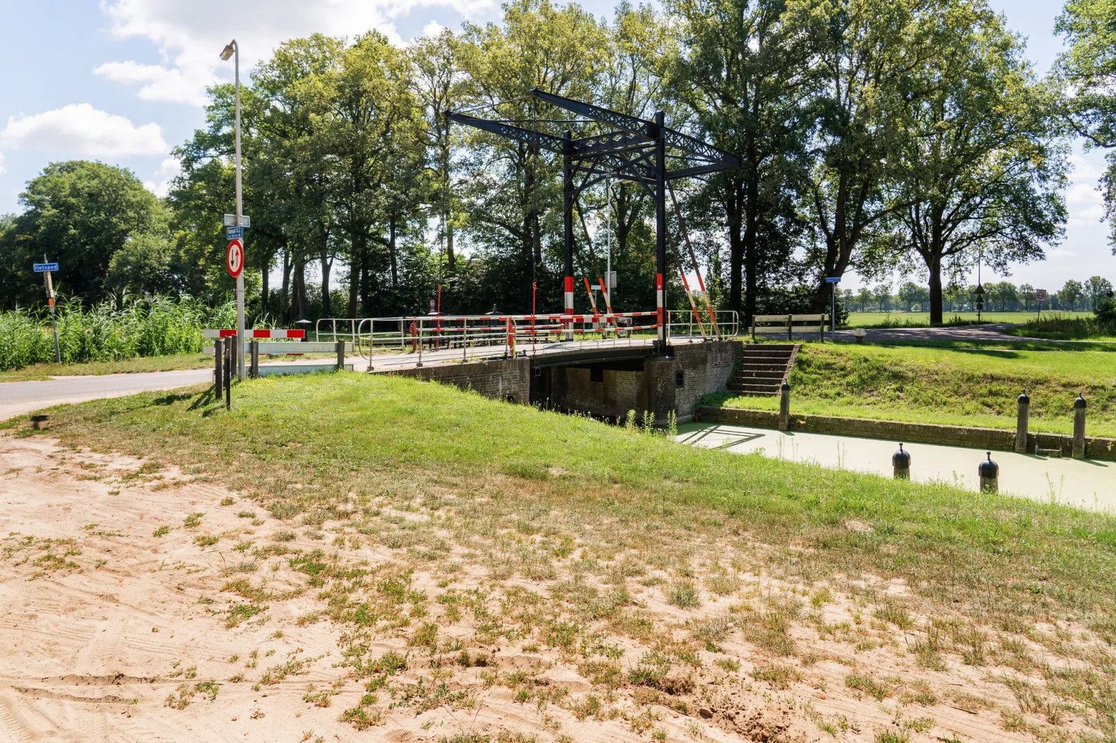 Steenmarter-Areas summer 1km