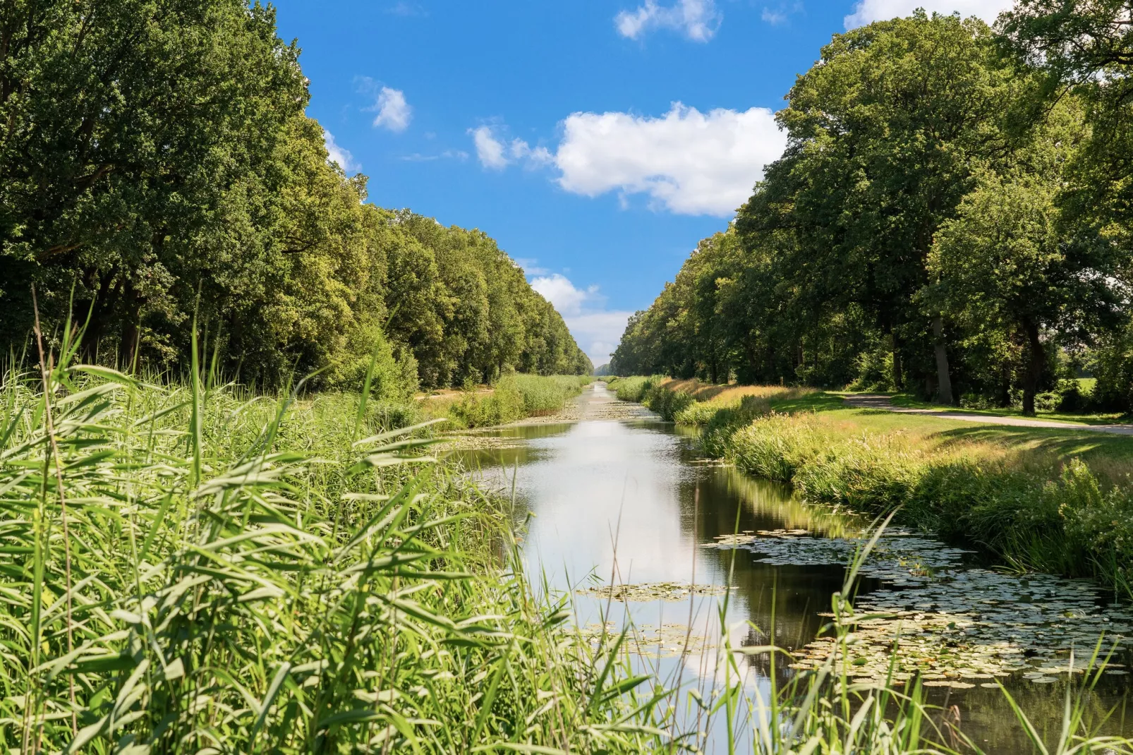 Steenmarter-Areas summer 5km