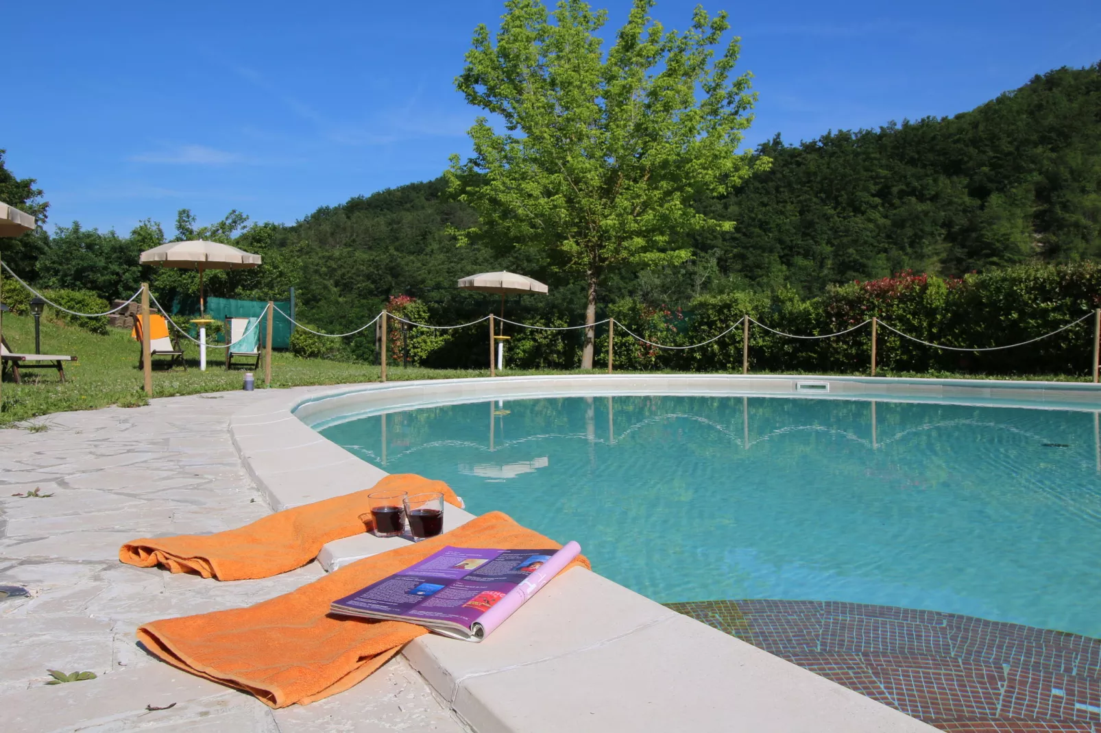 Orzo-Pool