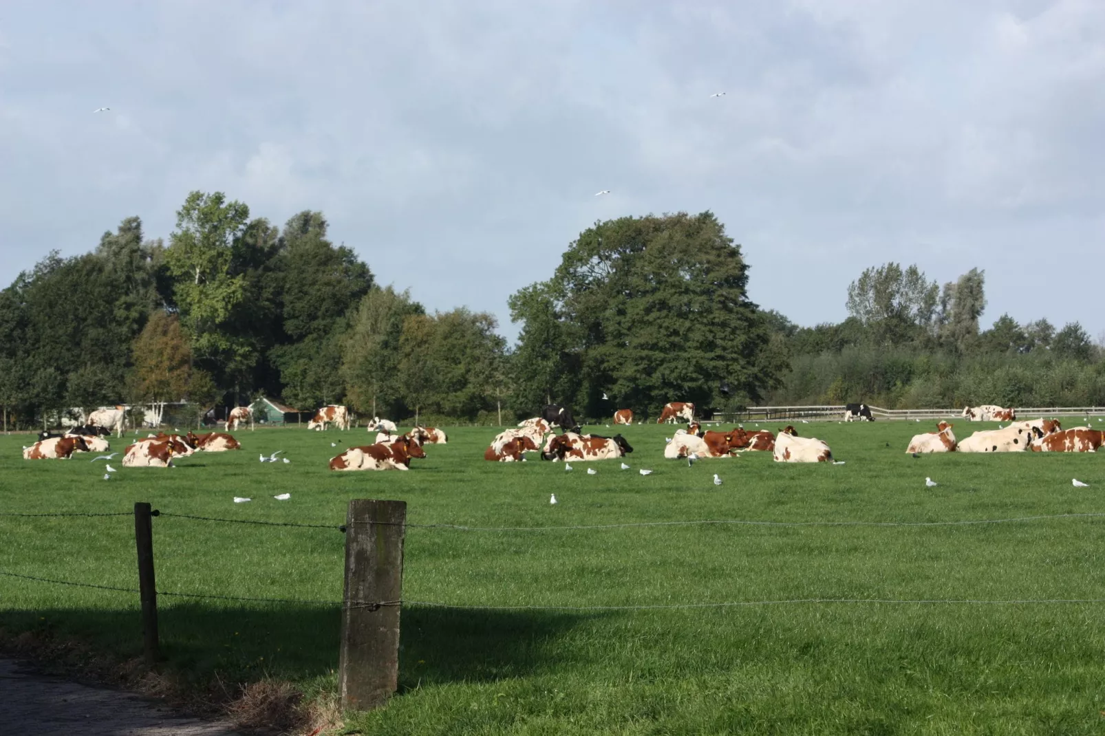 Twentepad-Areas summer 1km