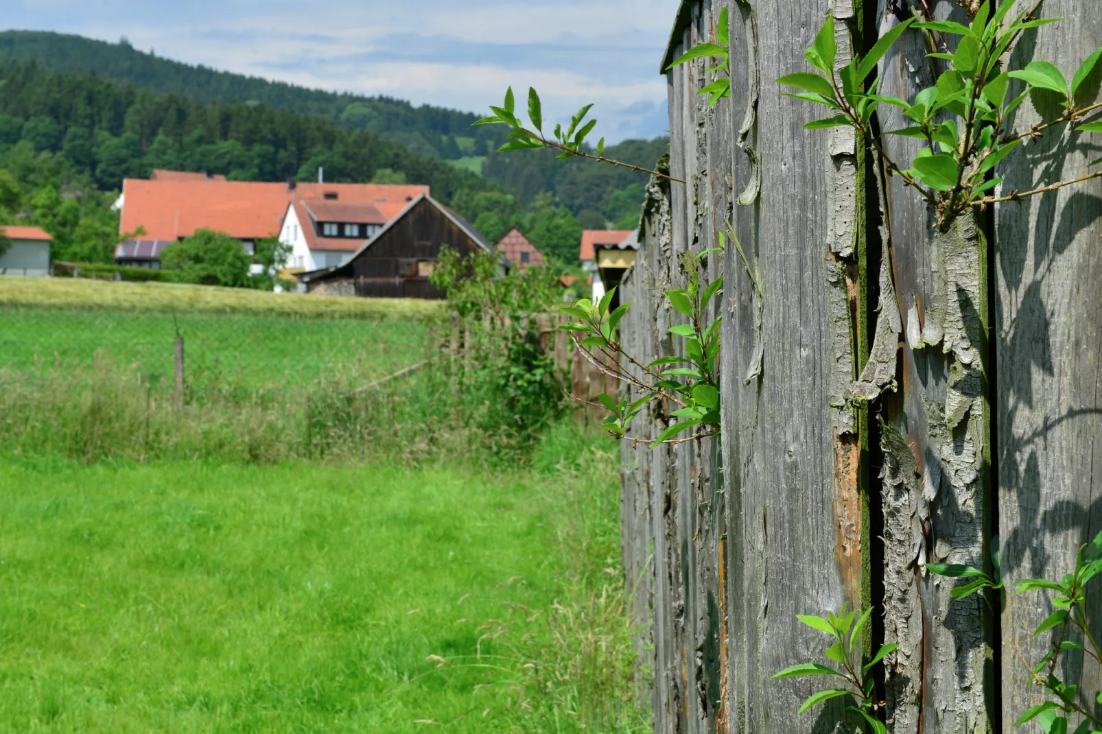 Sauerland - Diemelsee-Ambiance