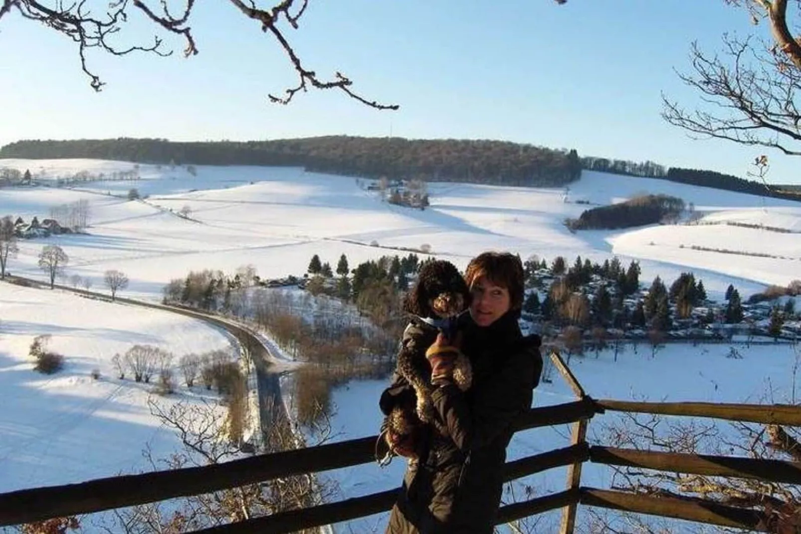 Sauerland - Diemelsee-View in winter