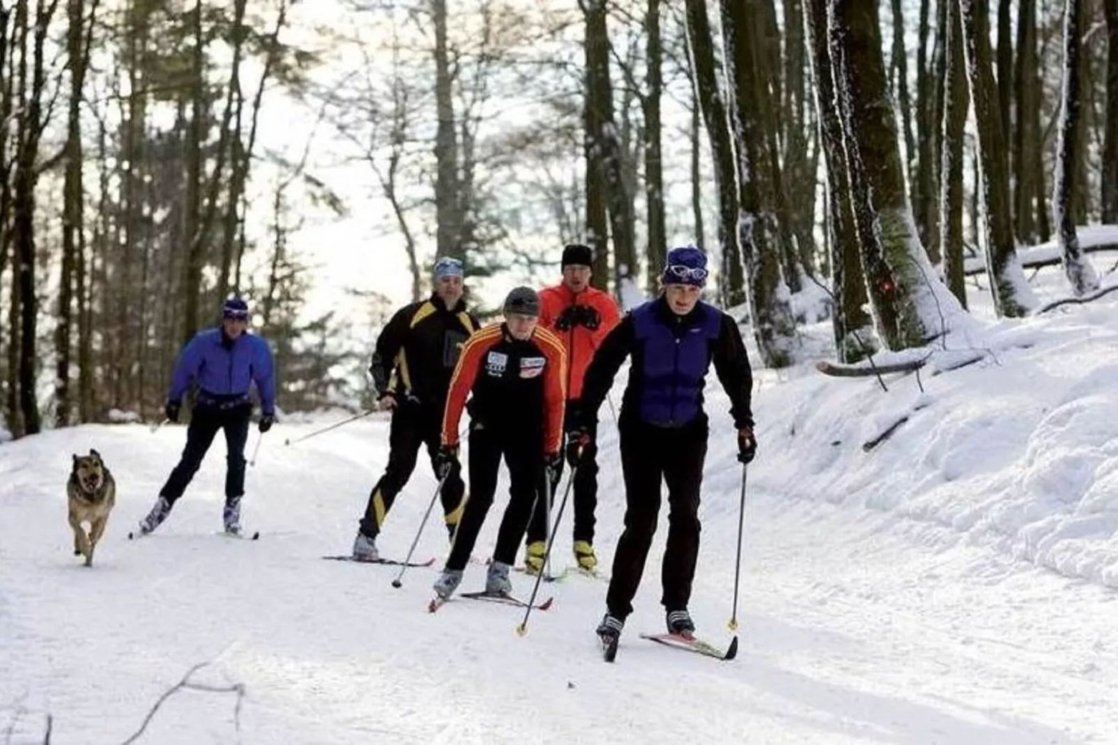 Sauerland - Diemelsee-Area within 1km in winter
