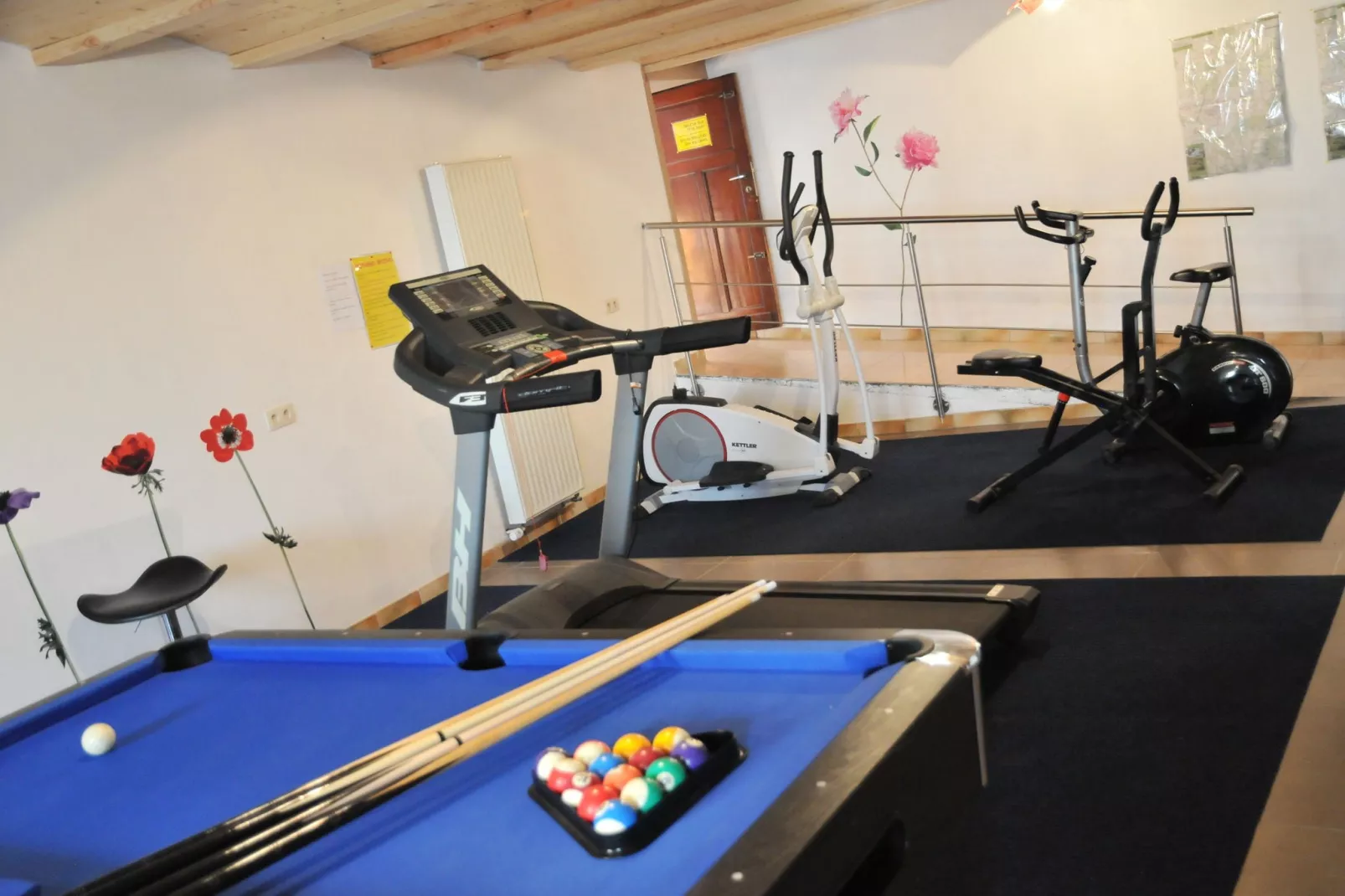 Stone Lodge-Recreation room