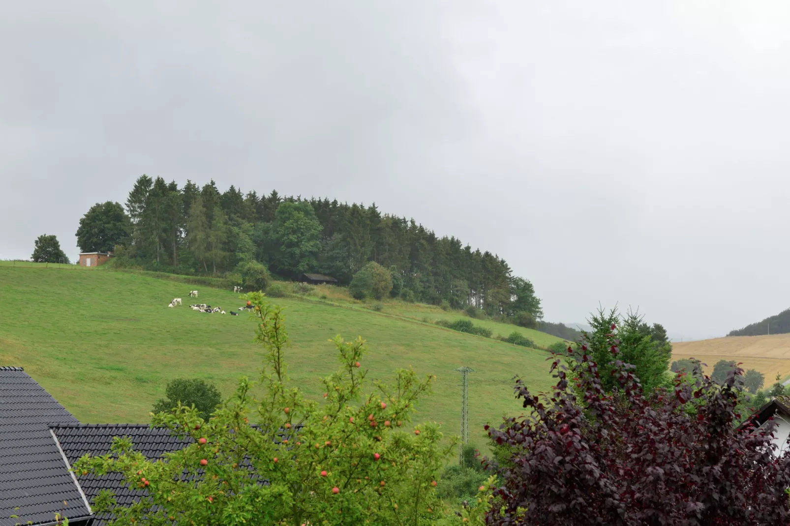 Ferienwohnung I Diemelsee-View summer