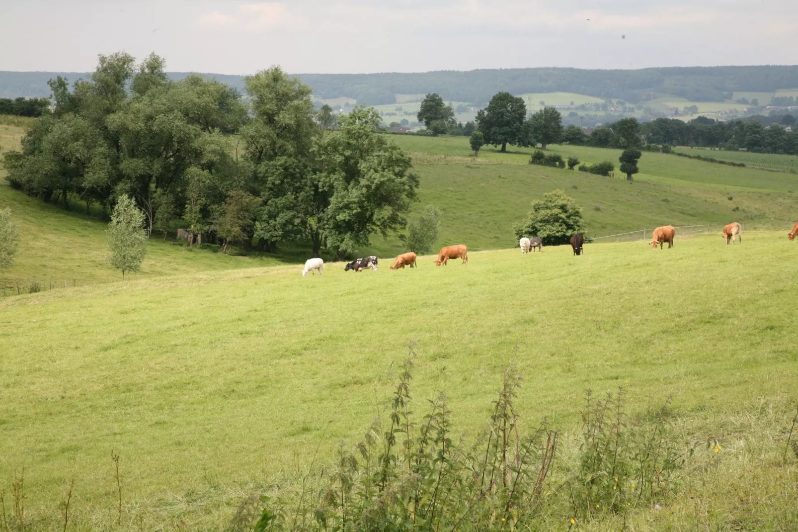 Stone Lodge-Areas summer 20km