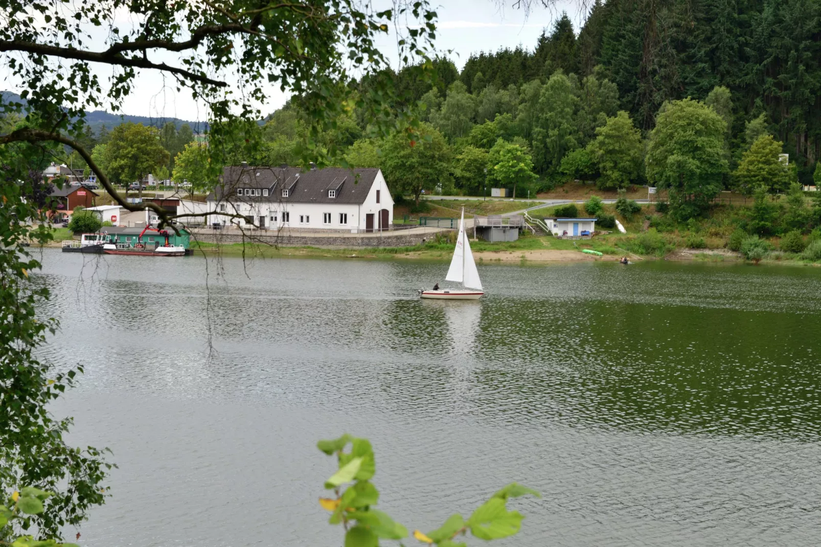 Ferienwohnung I Diemelsee-Areas summer 1km