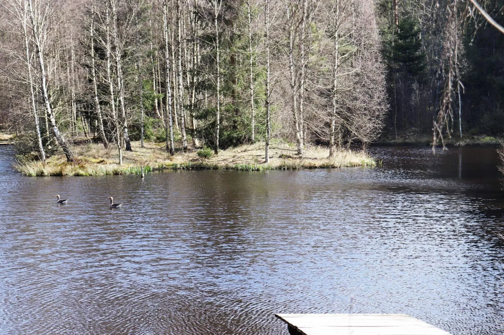 4 person holiday home in KNÄRED-By Traum-Not tagged