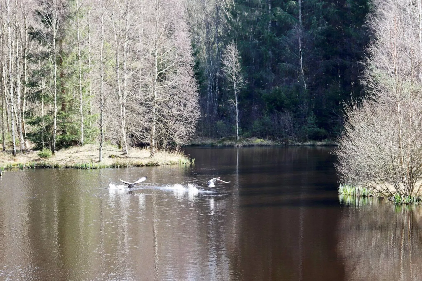 4 person holiday home in KNÄRED-By Traum-Not tagged