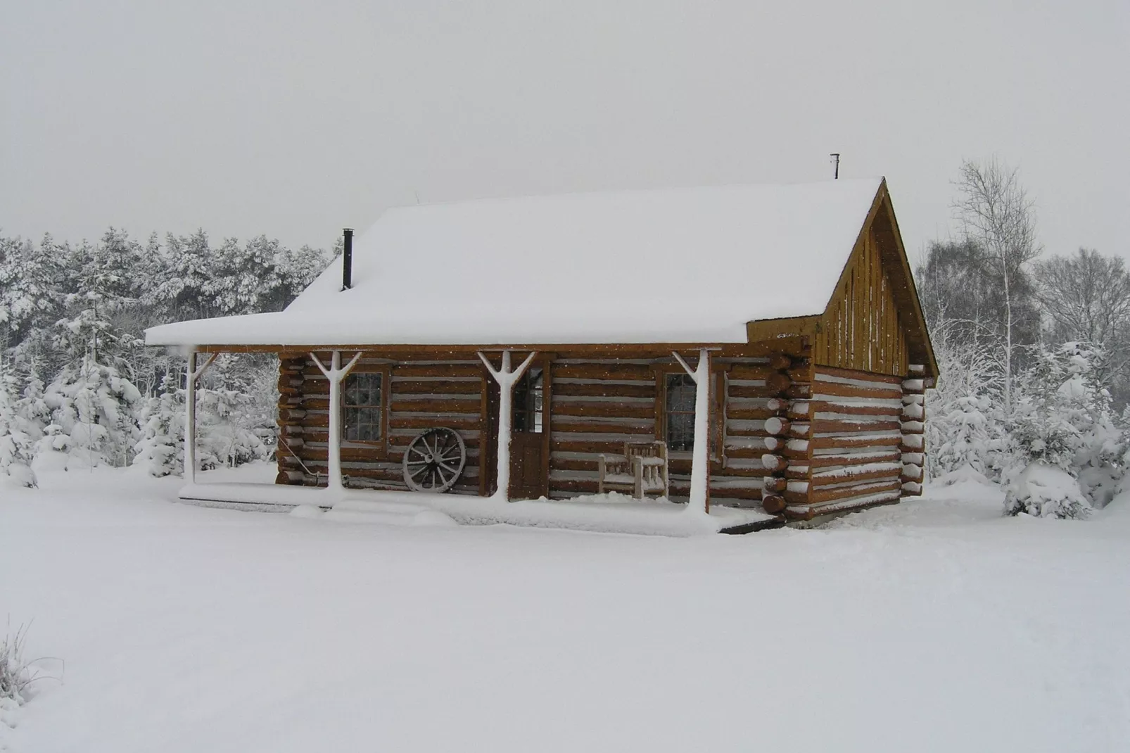 Amerikaanse Blokhut-Außenbereich Winter