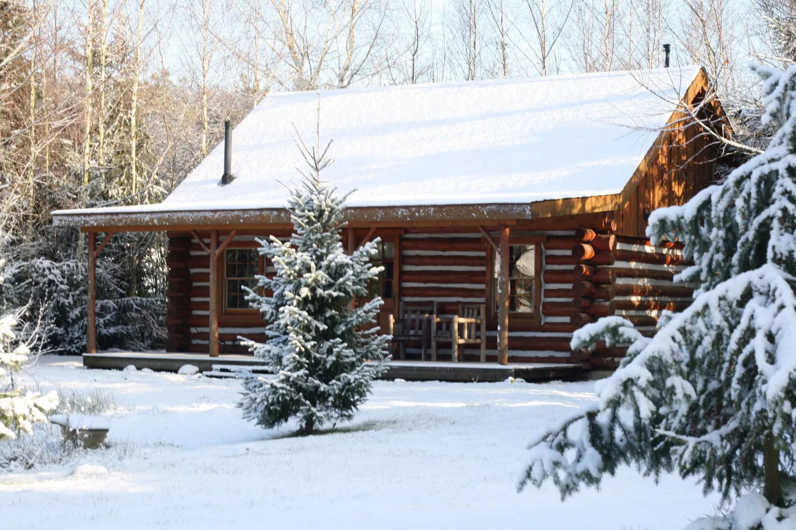 Amerikaanse Blokhut-Außenbereich Winter