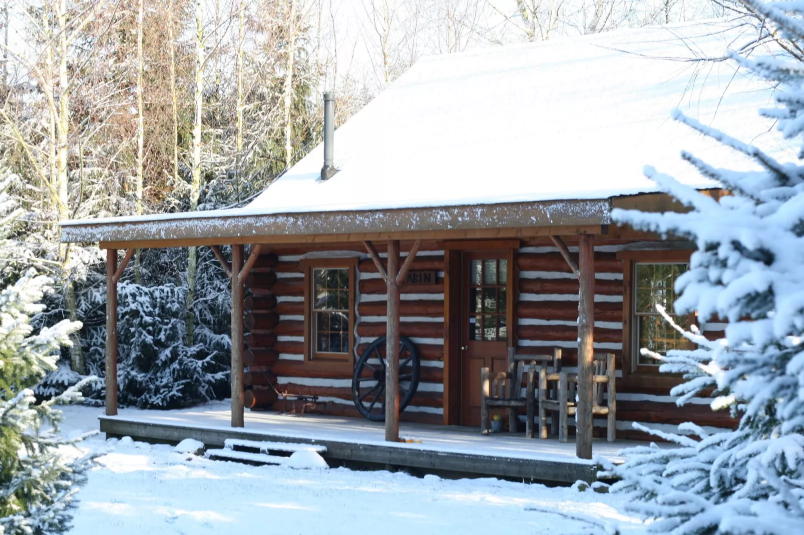 Amerikaanse Blokhut-Außenbereich Winter