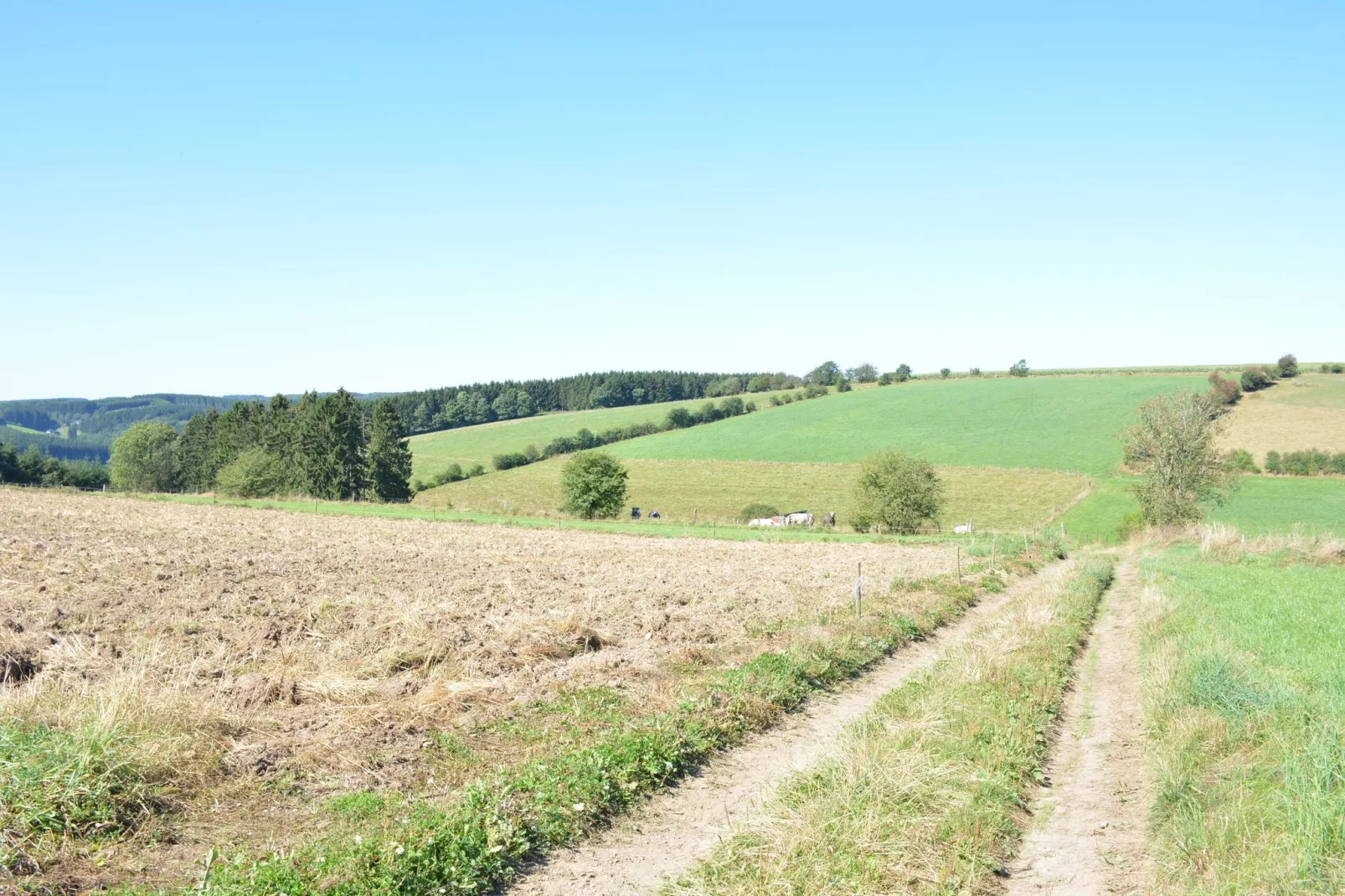 Aux Hirondelles-Areas summer 5km