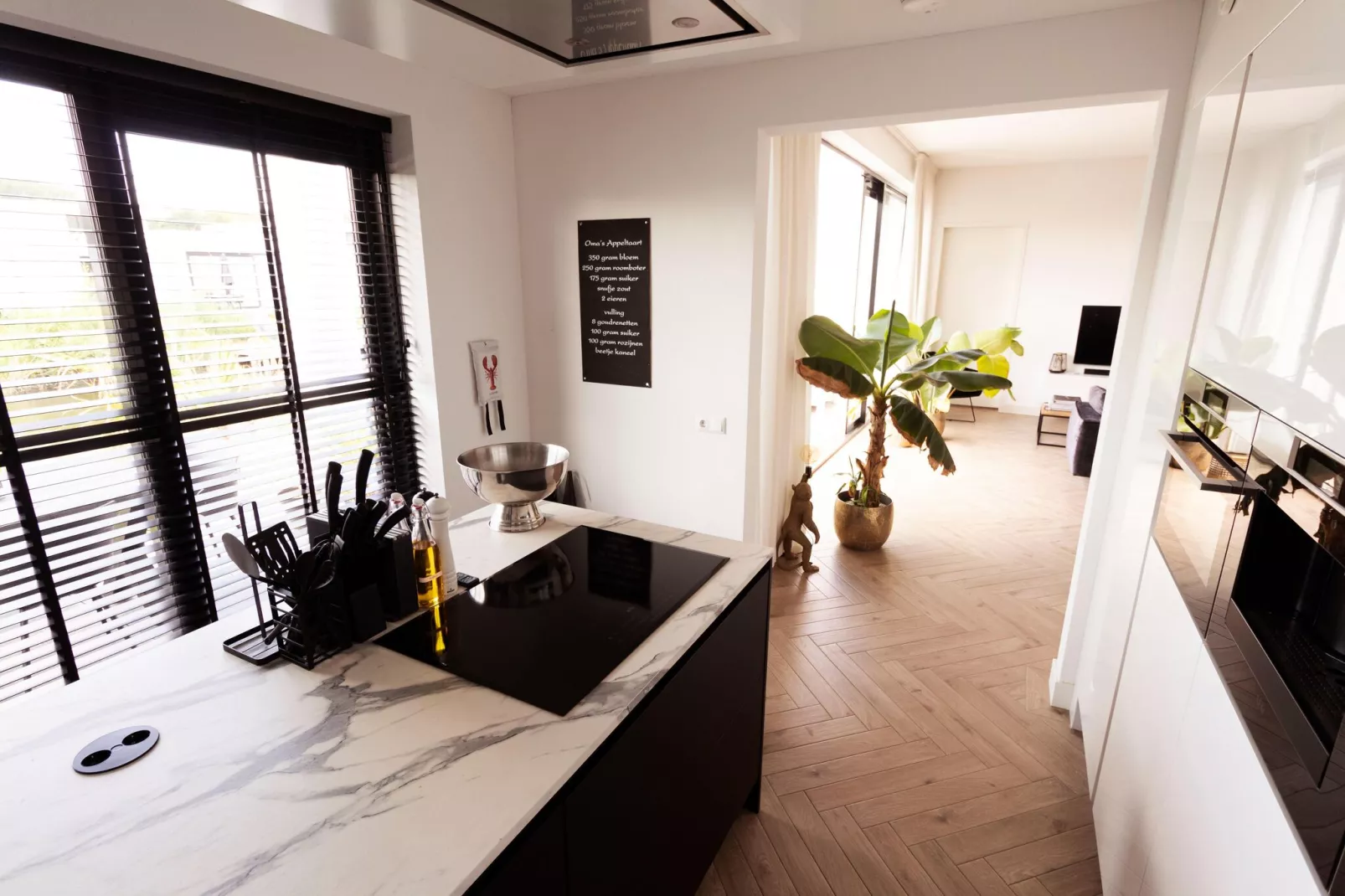 Rixwolde vakantievilla 430-Kitchen