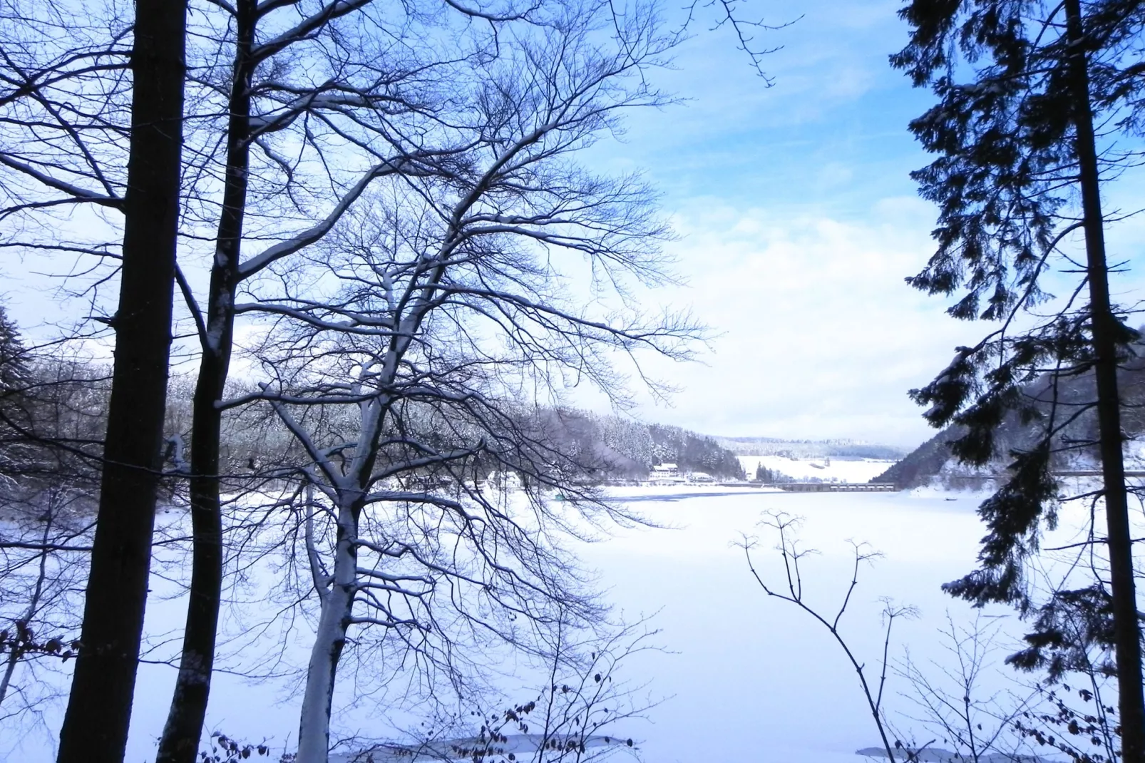 Ferienwohnung II Diemelsee-Area winter 5km