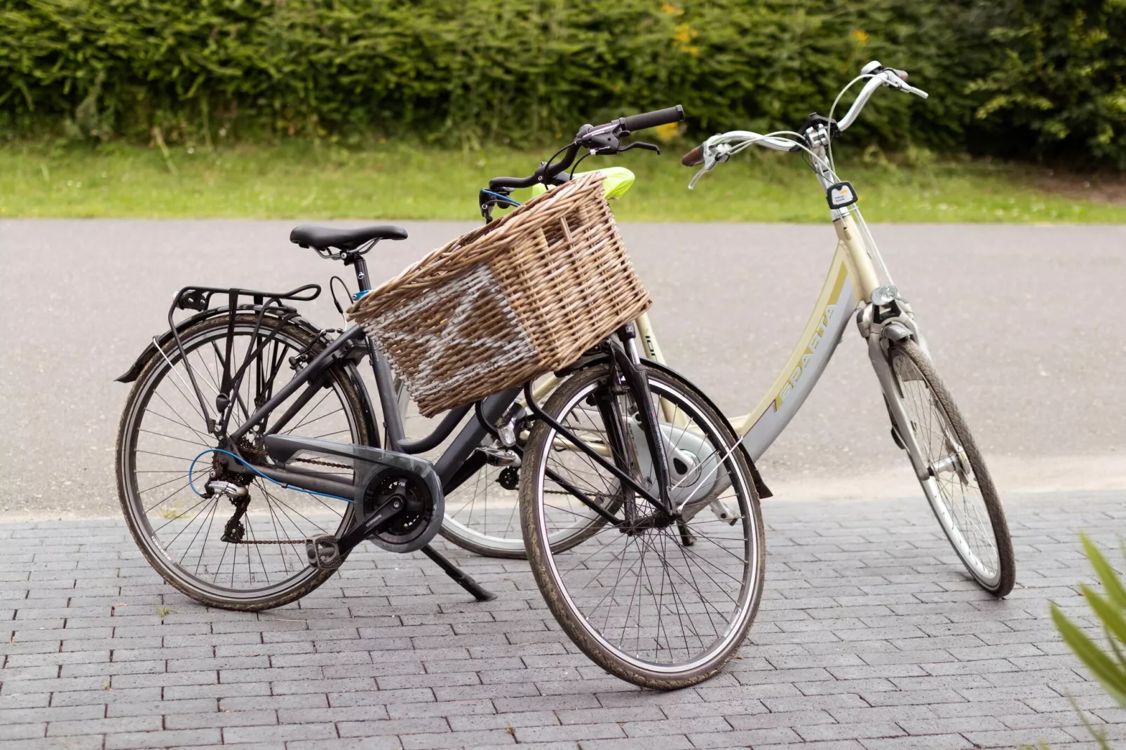 Rixwolde vakantievilla 430-Facilities