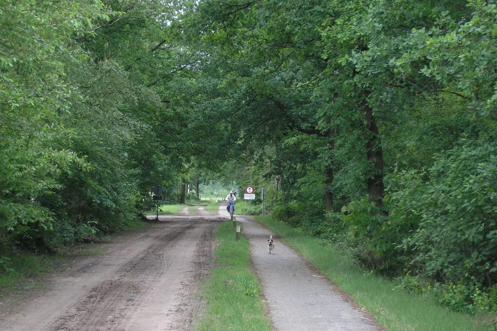Amerikaanse Blokhut-Gebiete Sommer 5 km