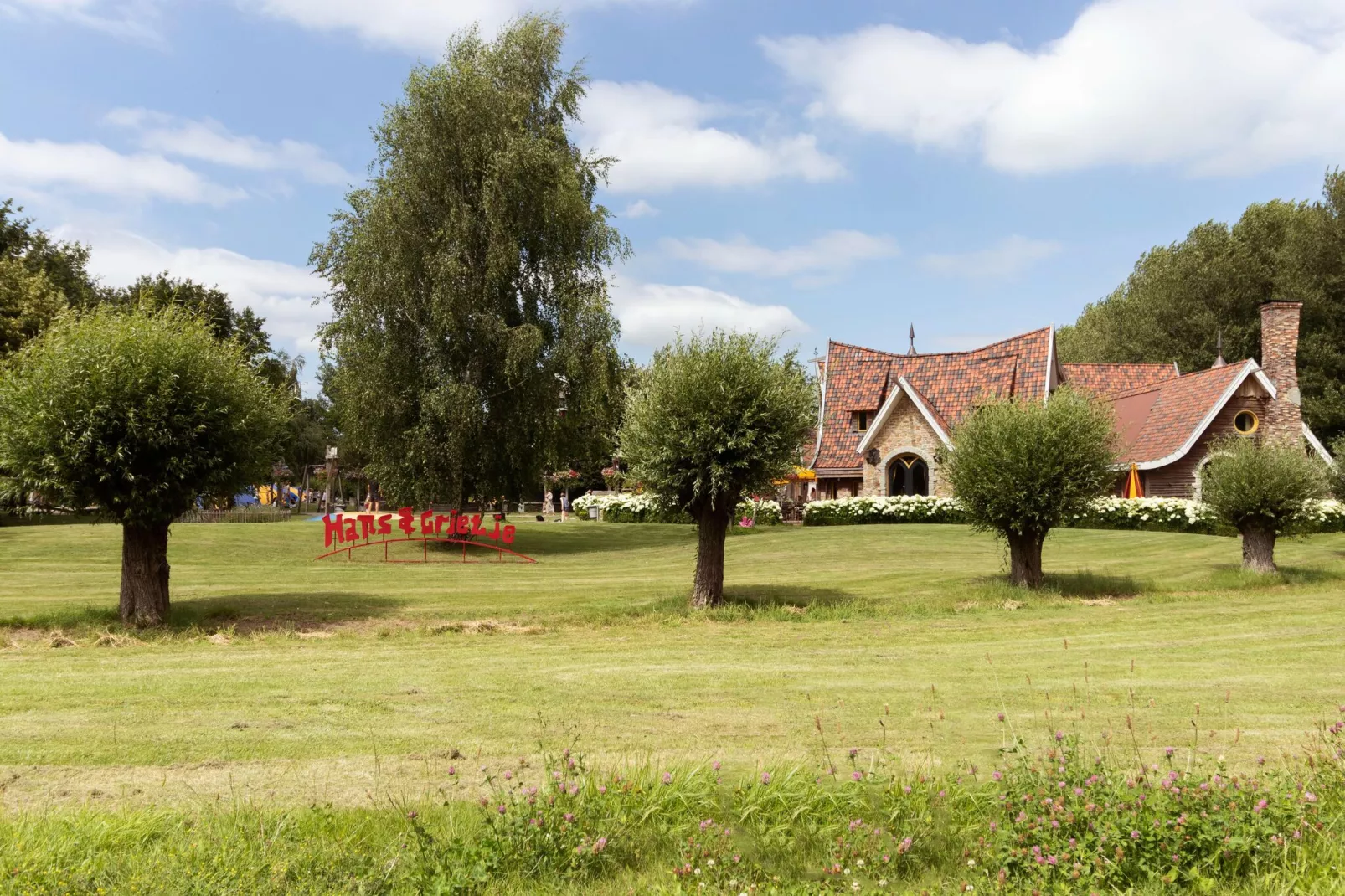 Rixwolde vakantievilla 430-Areas summer 20km