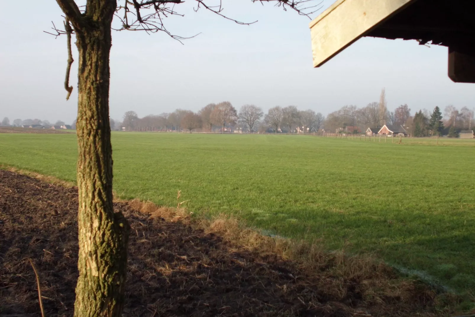 De Merel-View summer