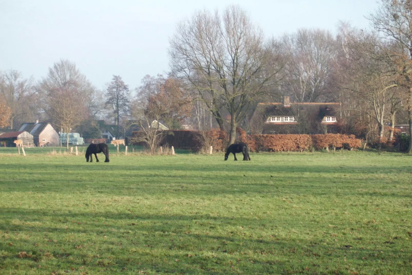 De Merel-Areas summer 1km