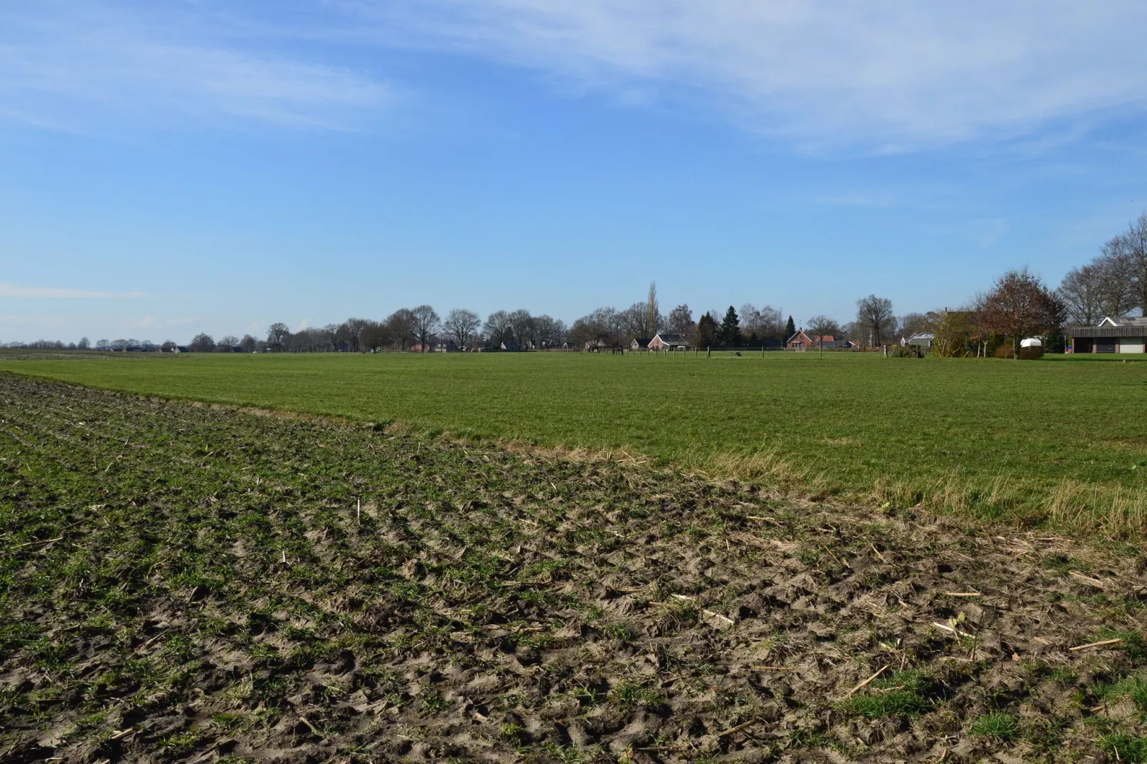 De Merel-Areas summer 5km