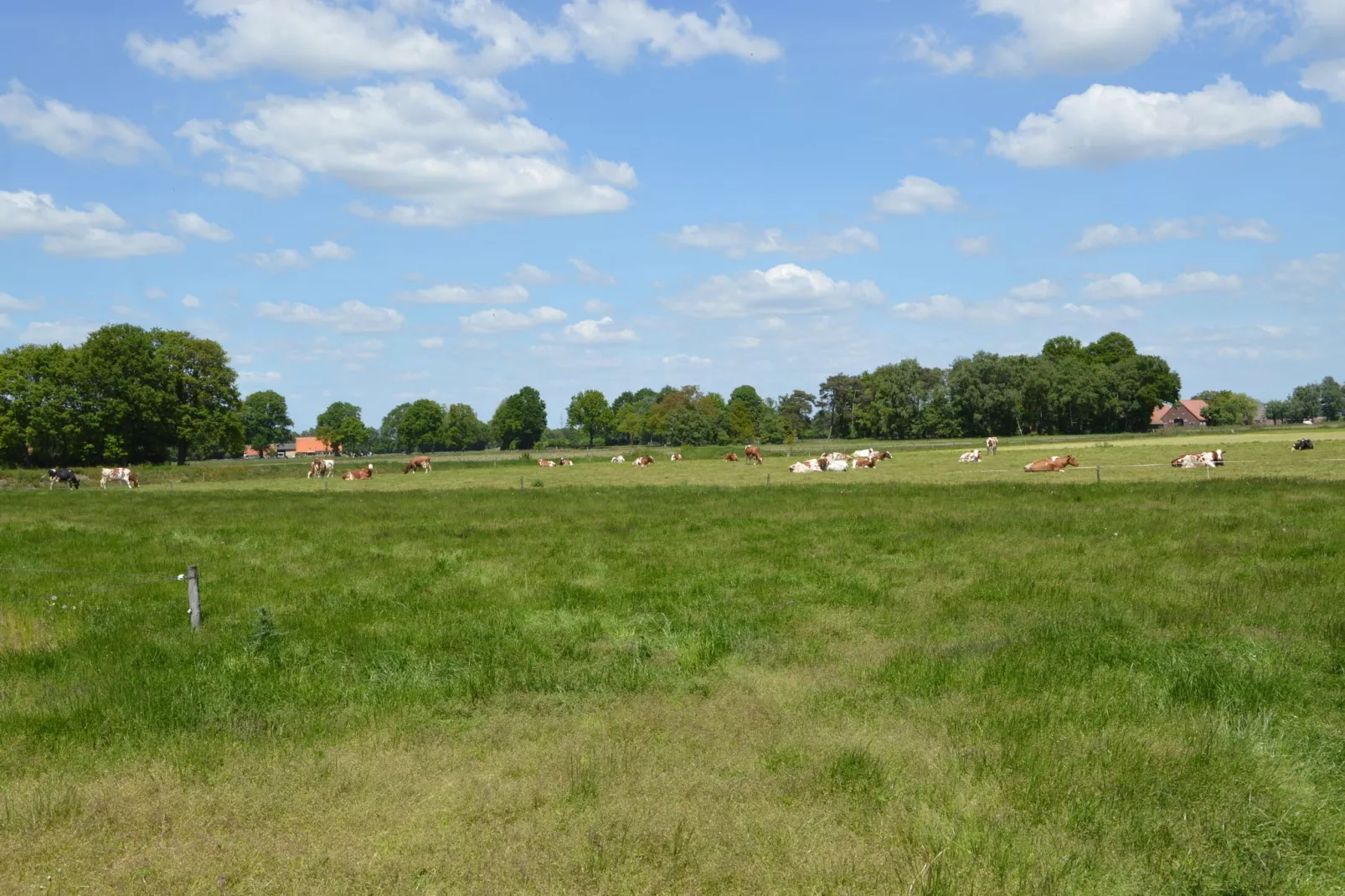 De Merel-Areas summer 20km