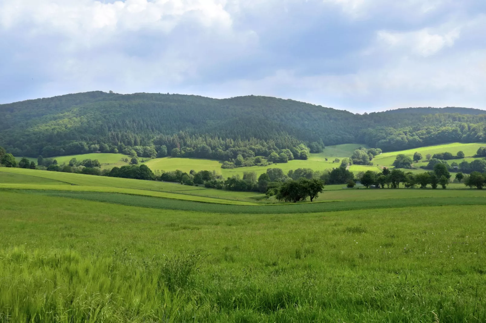 Haus Knoche-Zones d'été à 5 km