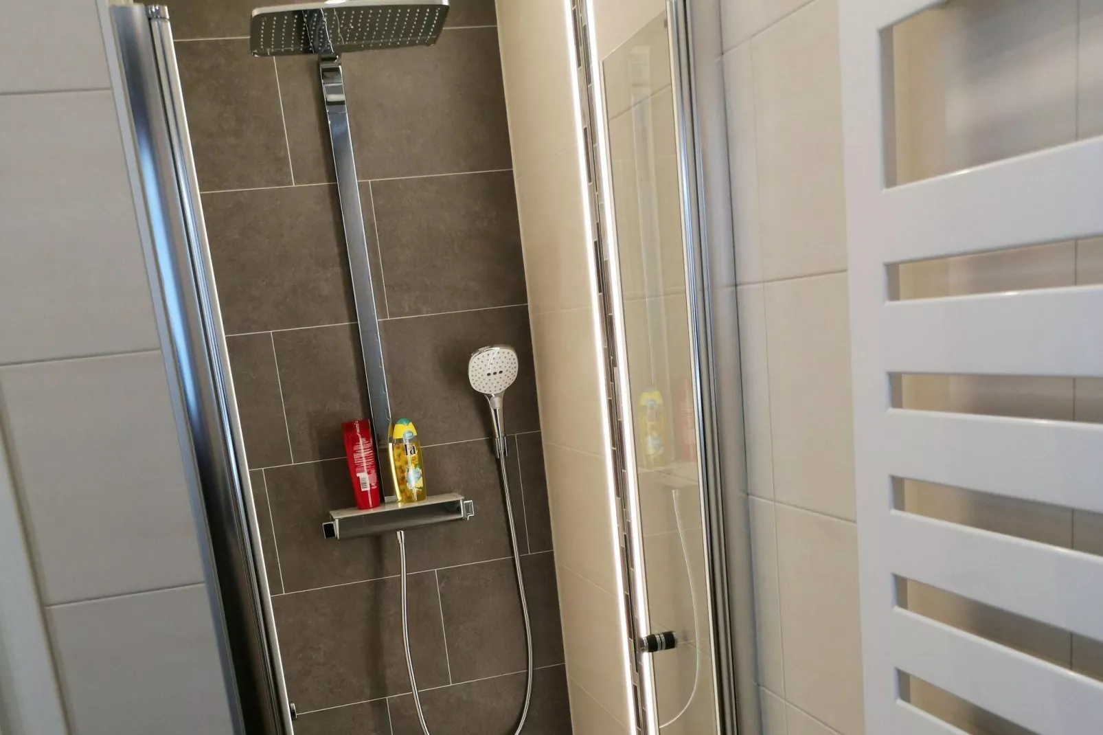 Haus 3 Birken-Badezimmer