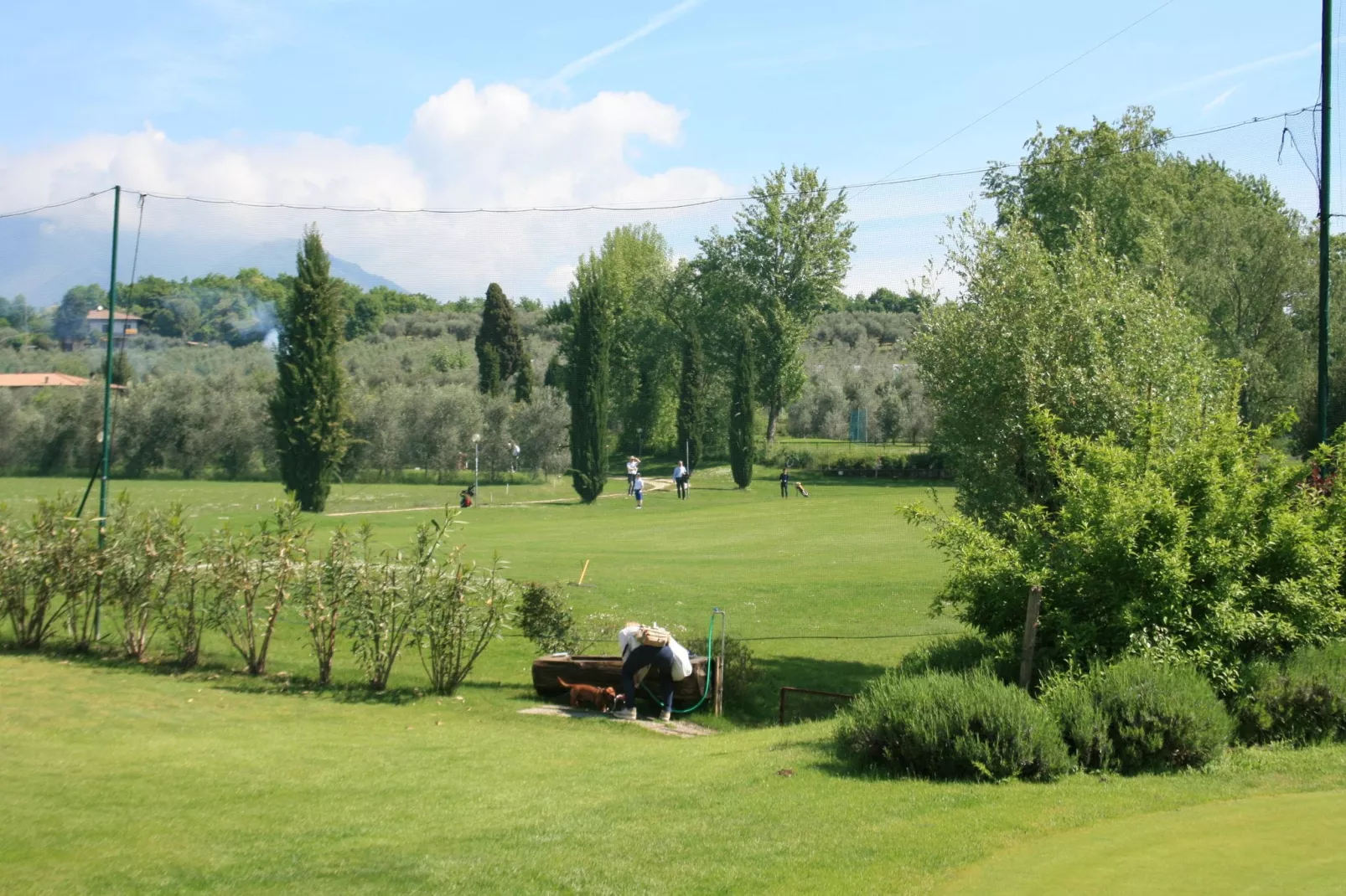 Golf A-View summer