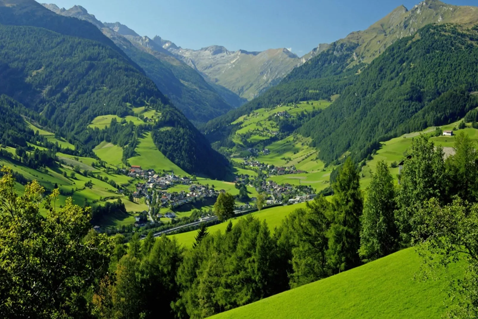 Haus 3 Birken-Gebiete Sommer 5 km